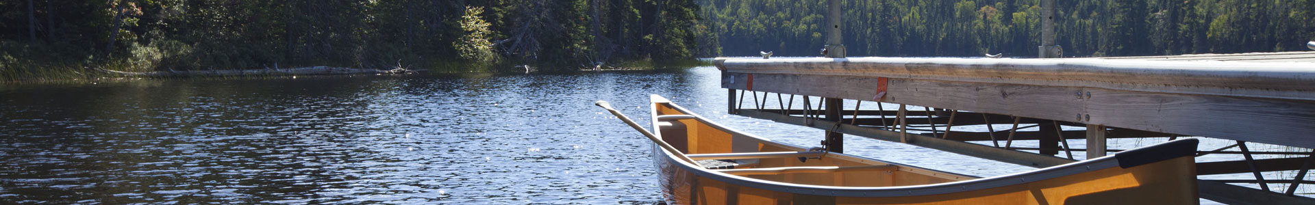 Lake Maintenance