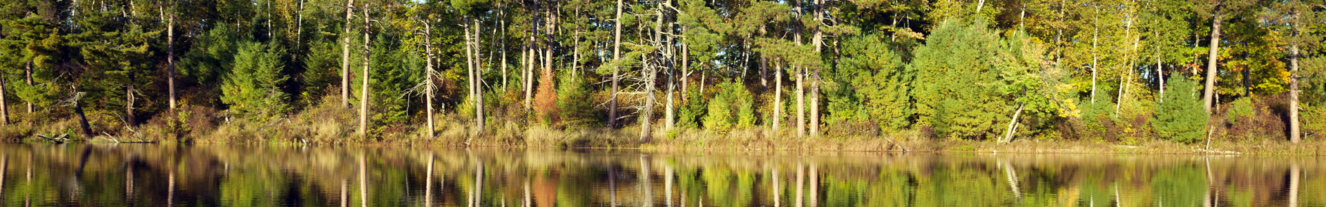 What is a Lake Ecosystem?